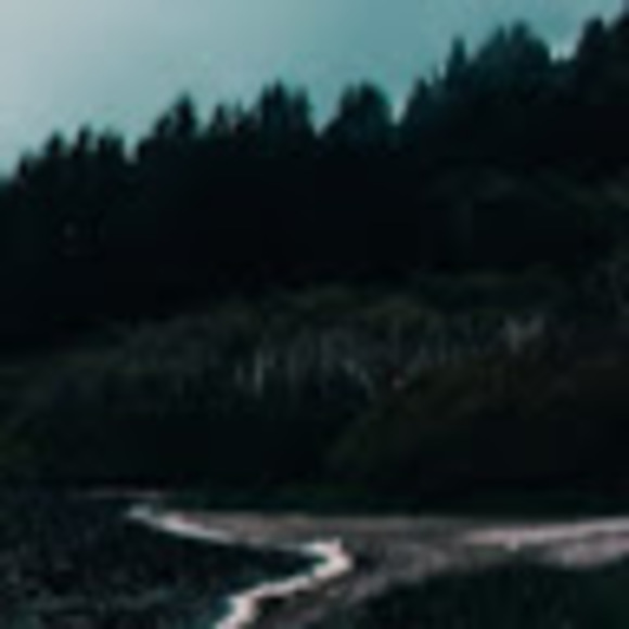 Meet your Posher, Jeeya - Picture 1 of 1